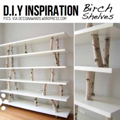 birch-shelves