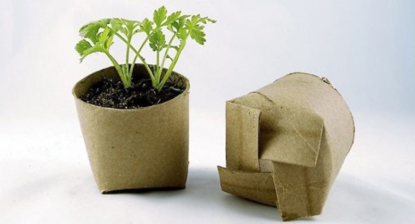 Ideas-para-reciclar-rollos-de-papel-higienico